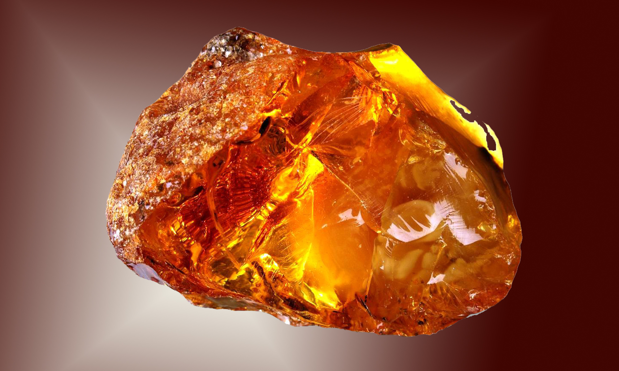 Baltic Amber Acid